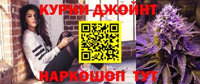 трава Гатчина
