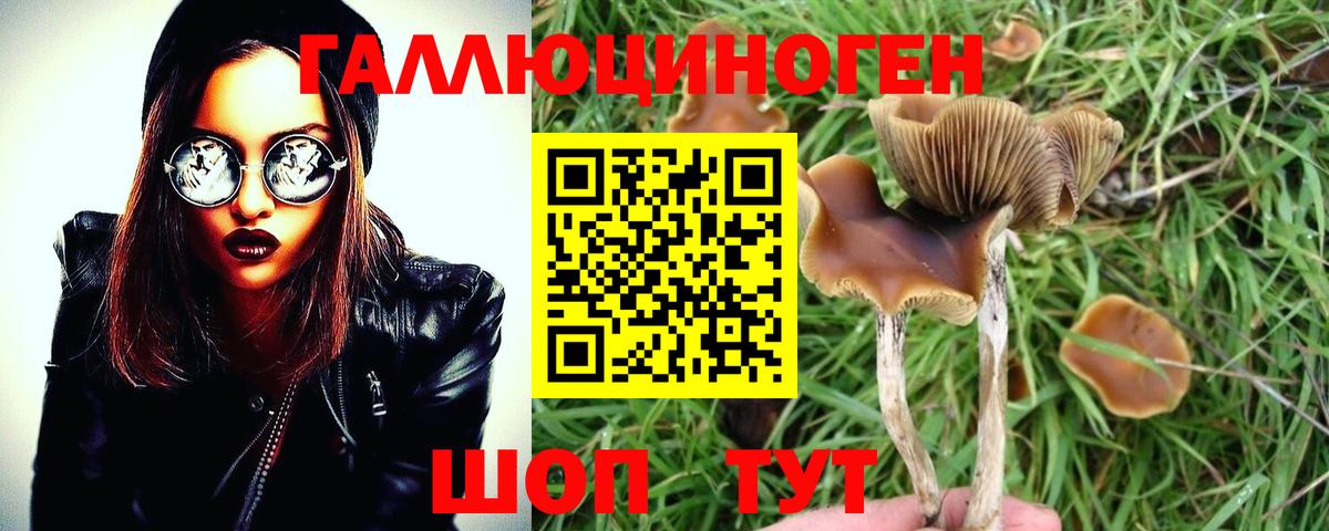 Якутск  Псилоцибиновые грибы Psilocybine cubensis  наркошоп  Вход с VPN 