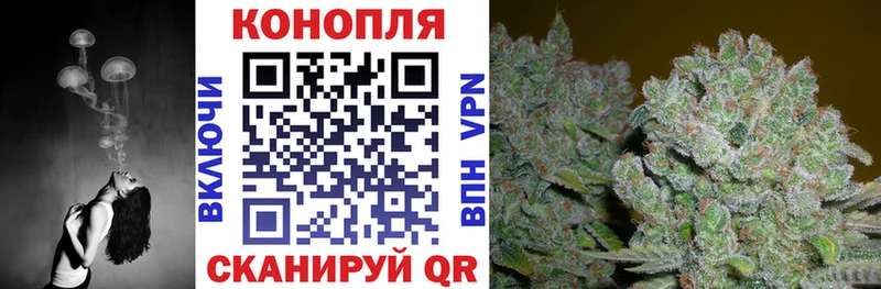 omg   закладки  Якутск  Канабис SATIVA & INDICA 